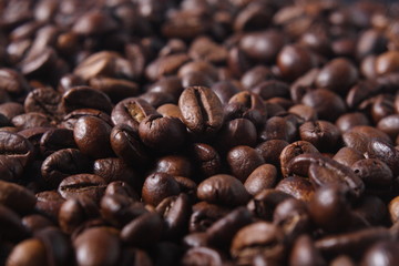 Robusta Coffee Beans