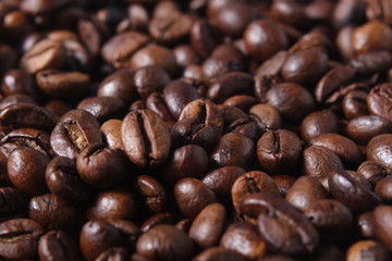 Robusta Coffee Beans