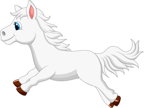 Cute white pony horse running