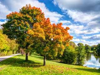 Herbst