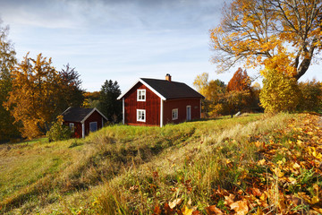 old red cottage surrounded by autumn leaves, rural setting