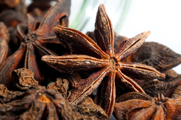 Star Anise close up on a  white background