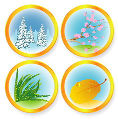 Four seasons. Vector.