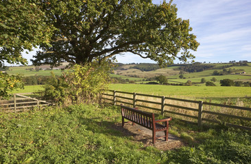 yorkshire wolds bench