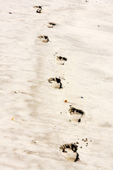 Footprints in the sand on the beach