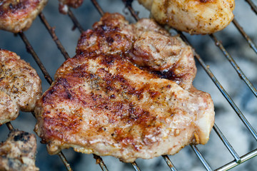 barbecue with delicious grilled meat on grill