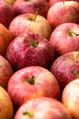 Close-up of red apples