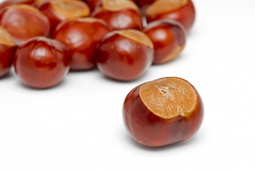 Conkers on a white background