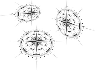 Compass roses in perspective