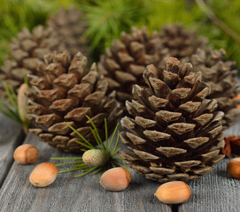 cones and nuts