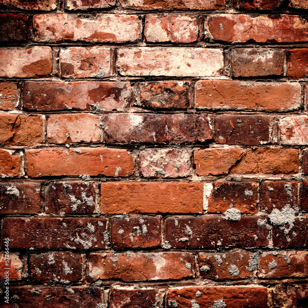 Wall mural Brick Wall