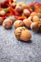 Autumn background