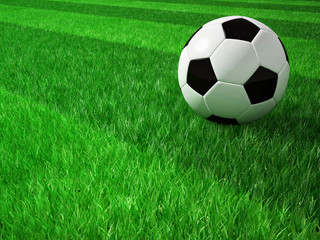 Fototapeta premium soccer football field