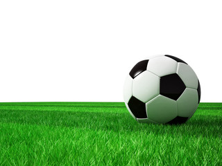 Fototapeta premium soccer football field
