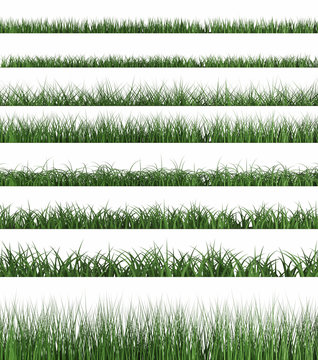 Green Grass Sample