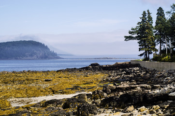 Fototapeta na wymiar Acadia-Nationalpark Maine