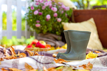 Cozy decoration in autumn park