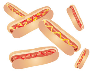 hot dog