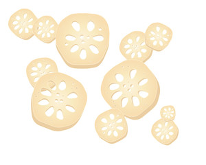 lotus root