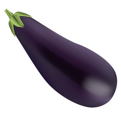 Eggplant isolated