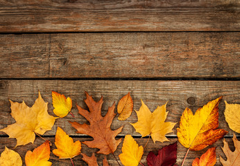 Naklejka na ściany i meble Autumn background - different shaped leaves on wood