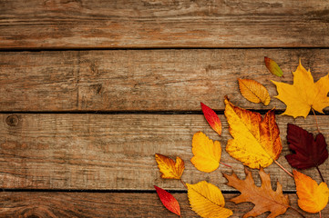 Naklejka na ściany i meble Autumn background - different shaped leaves on wood