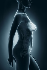 Woman breast anato my x-ray lateral view