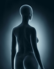 Woman in anatomical position x-ray black posterior view