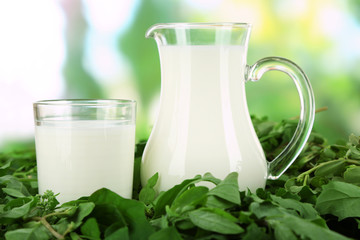 Pitcher and glass of milk on grass on nature background