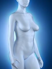 Naklejka premium Woman in anatomical position