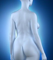 Fototapeta premium Woman in anatomical position white posterior view