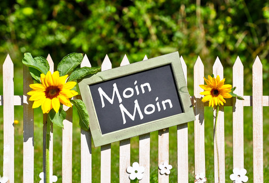Moin moin