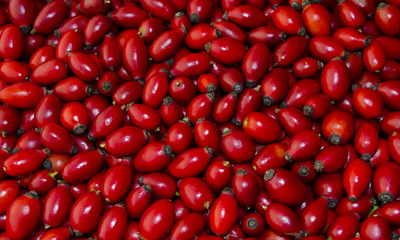 Rose hips