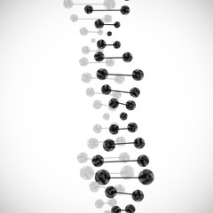 DNA molecule