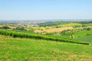 Fototapeta na wymiar Italy, Romagna Apennines hills and vineyards