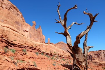 Arches National Park, USA