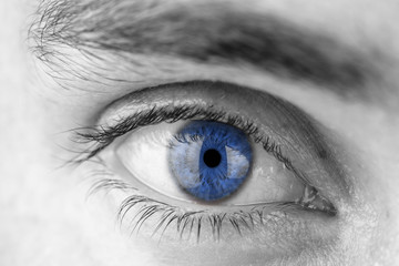 Human eye