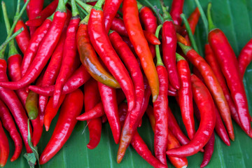 spicy chilli peppers on an asian market