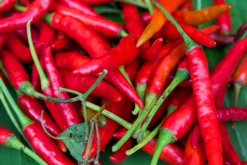 spicy chilli peppers on an asian market