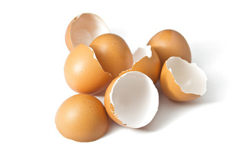 Eggs shell on a white background