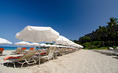 Long rows of lounge chairs and umbrellas at Kaunaoa beach