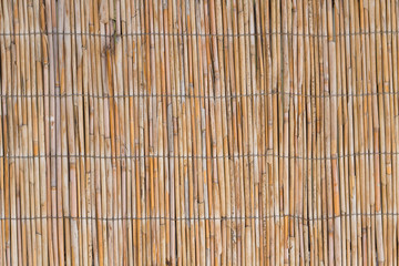 fine texture of the walls of reeds