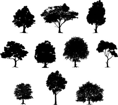 collection of tree silhouette