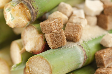 sucre de canne