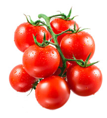 Cherry tomatoes with drops on branch.