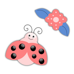 Ladybird and flower isolated on white background