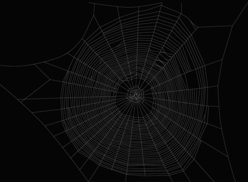 large isolated white spider web