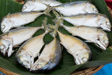 Fresh Mackerel on a white background