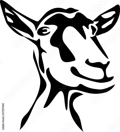 "head of goat" Stock image and royalty-free vector files on Fotolia.com