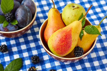 Fruit variety.
